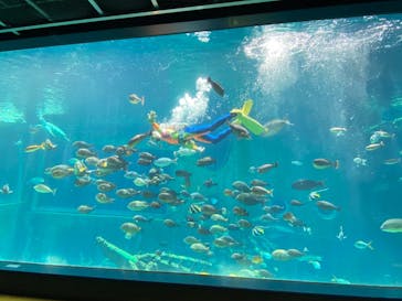 箱根園水族館に投稿された画像（2024/6/23）