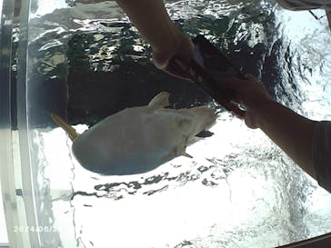 サンシャイン水族館に投稿された画像（2024/6/23）