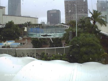 サンシャイン水族館に投稿された画像（2024/6/23）