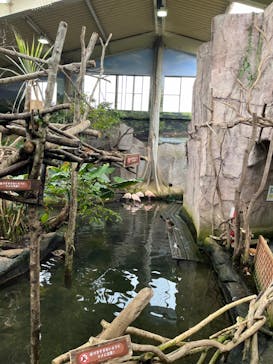 那須どうぶつ王国に投稿された画像（2024/6/23）