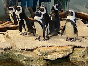 NIFREL（ニフレル）に投稿された画像（2024/6/23）