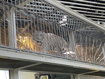 NIFREL（ニフレル）に投稿された画像（2024/6/23）