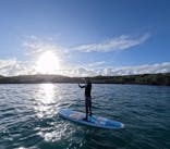 宮古島 ADVENTURE PiPi（ミヤコジマ アドベンチャー ピピ）に投稿された画像（2024/6/23）