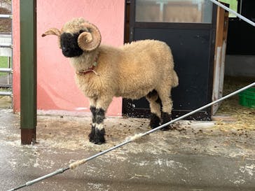 EnglishGardenローザンベリー多和田に投稿された画像（2024/6/23）