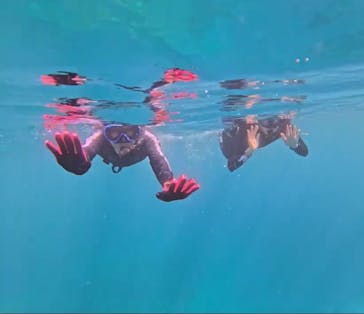 石垣島 ADVENTURE PiPi（イシガキジマアドベンチャーピピ）に投稿された画像（2024/6/23）