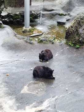 阿蘇カドリー・ドミニオンに投稿された画像（2024/6/23）