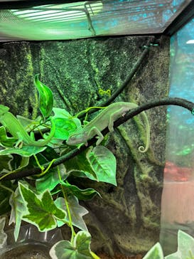 いきもの探検隊上尾に投稿された画像（2024/6/23）