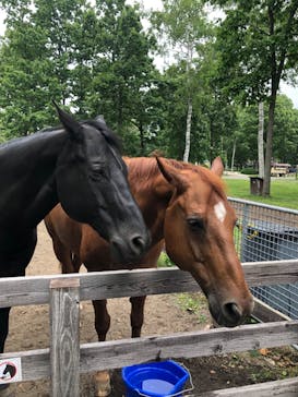 ノーザンホースパークに投稿された画像（2024/6/23）