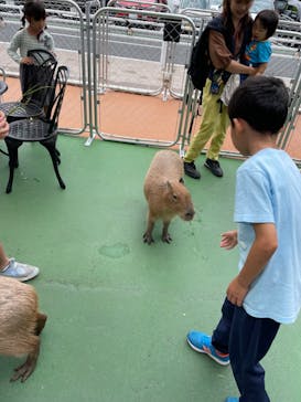 アニタッチPARKイオンモール太田に投稿された画像（2024/6/23）