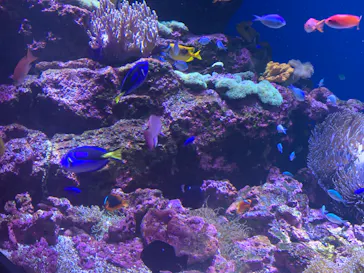 仙台うみの杜水族館に投稿された画像（2024/6/23）