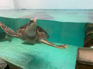 仙台うみの杜水族館に投稿された画像（2024/6/23）