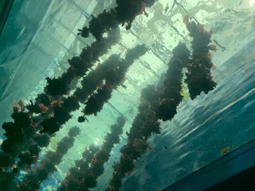 仙台うみの杜水族館に投稿された画像（2024/6/23）