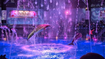 マクセル アクアパーク品川に投稿された画像（2024/6/23）