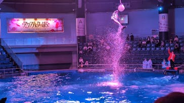 マクセル アクアパーク品川に投稿された画像（2024/6/23）