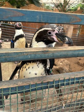 ゼロ距離水族館 伊勢シーパラダイスに投稿された画像（2024/6/23）