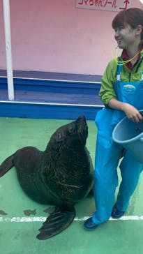 ゼロ距離水族館 伊勢シーパラダイスに投稿された画像（2024/6/23）