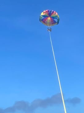 Sea World（シーワールド）に投稿された画像（2024/6/23）