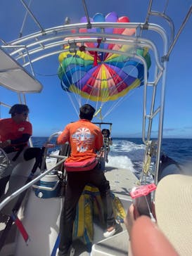 Sea World（シーワールド）に投稿された画像（2024/6/23）