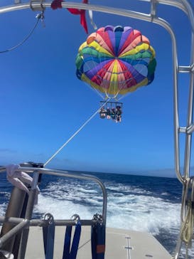 Sea World（シーワールド）に投稿された画像（2024/6/23）