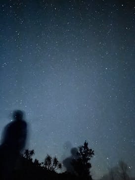 西表島 ADVENTURE PiPi（アドベンチャーピピ）に投稿された画像（2024/6/23）