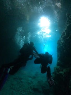 武藤潜水に投稿された画像（2024/6/24）