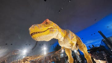 福井県立恐竜博物館に投稿された画像（2024/6/24）