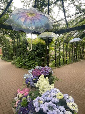 アソビュー！ポイントに投稿された画像（2024/6/24）