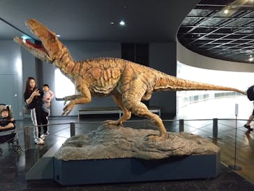 福井県立恐竜博物館に投稿された画像（2024/6/24）