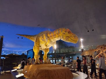 福井県立恐竜博物館に投稿された画像（2024/6/24）