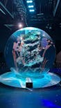 AQUARIUM × ART　atoaに投稿された画像（2024/6/24）