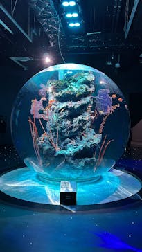 AQUARIUM × ART　atoaに投稿された画像（2024/6/24）