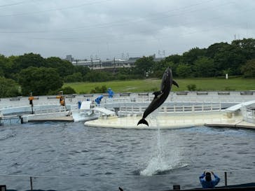 京都水族館に投稿された画像（2024/6/24）