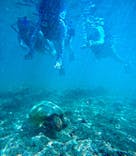 宮古島 ADVENTURE PiPi（ミヤコジマ アドベンチャー ピピ）に投稿された画像（2024/6/24）