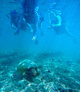 宮古島 ADVENTURE PiPi（ミヤコジマ アドベンチャー ピピ）に投稿された画像（2024/6/24）