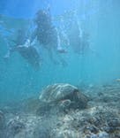 宮古島 ADVENTURE PiPi（ミヤコジマ アドベンチャー ピピ）に投稿された画像（2024/6/24）