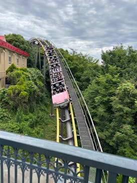 日本モンキーパークに投稿された画像（2024/6/24）