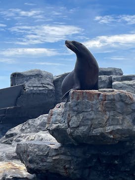 鴨川シーワールドに投稿された画像（2024/6/24）