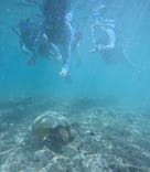 宮古島 ADVENTURE PiPi（ミヤコジマ アドベンチャー ピピ）に投稿された画像（2024/6/24）