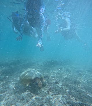 宮古島 ADVENTURE PiPi（ミヤコジマ アドベンチャー ピピ）に投稿された画像（2024/6/24）