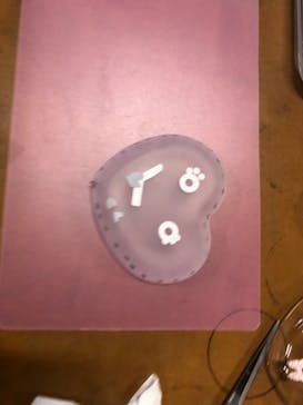 GLASS STUDIO PUNTY（グラススタジオ ポンテ）に投稿された画像（2024/6/24）