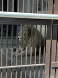 宇都宮動物園に投稿された画像（2024/6/24）