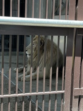 宇都宮動物園に投稿された画像（2024/6/24）