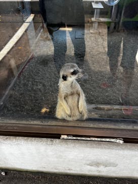 宇都宮動物園に投稿された画像（2024/6/24）