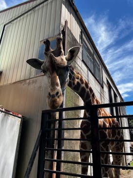 宇都宮動物園に投稿された画像（2024/6/24）