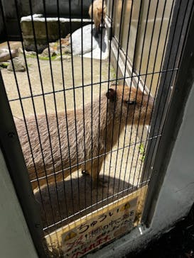 宇都宮動物園に投稿された画像（2024/6/24）