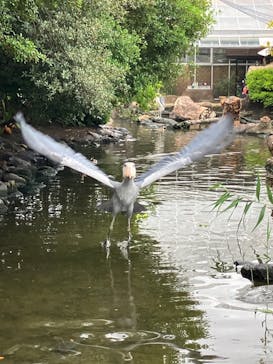 神戸どうぶつ王国に投稿された画像（2024/6/24）