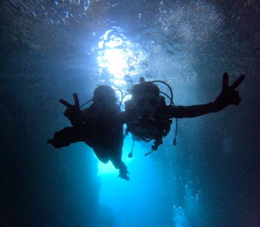 沖縄マリンサービス碧に投稿された画像（2024/6/24）