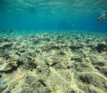 沖縄マリンサービス碧に投稿された画像（2024/6/24）