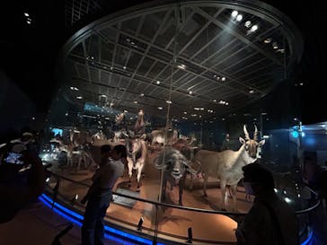 国立科学博物館に投稿された画像（2024/6/24）