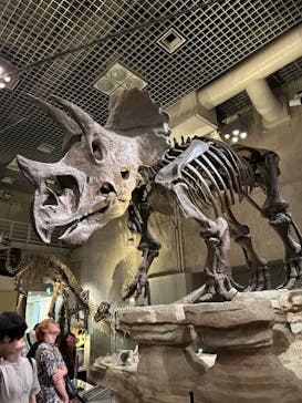 国立科学博物館に投稿された画像（2024/6/24）